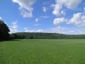 Looking back to the Downs